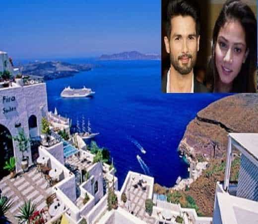 ↓15- Shahid Kapoor and Mira Rajput