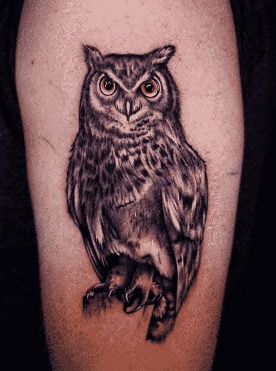 ↓ 13 – Owl Tattoo Representing Darkness And Wisdom