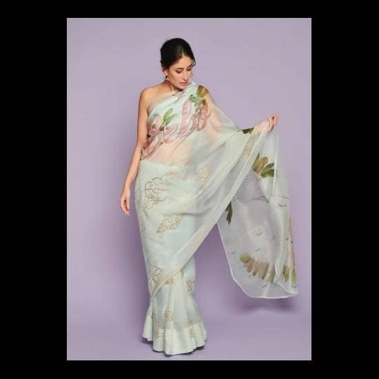 9 – Kareena Kapoor Khan In A Hand-Painted Orgnaza Saree