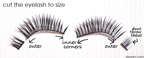 STEP 3: Measuring and Trimming the Lashes