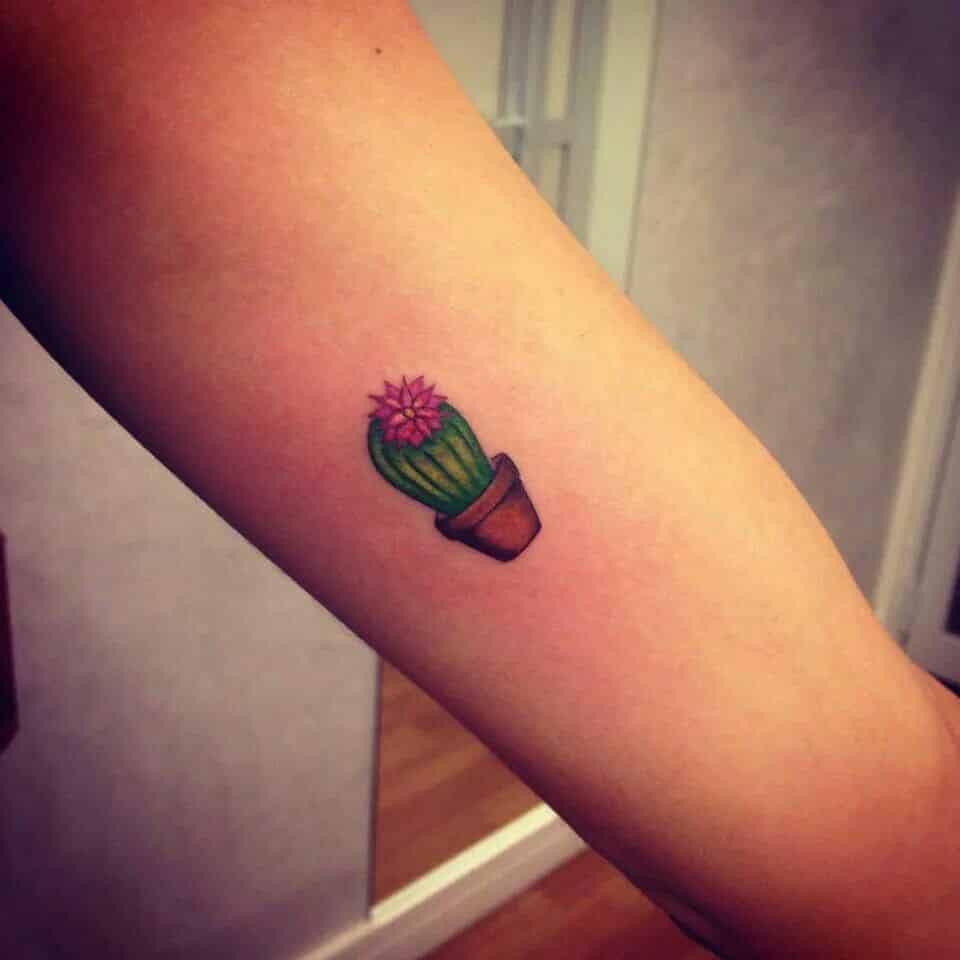 #10 – Cactus Emoticon