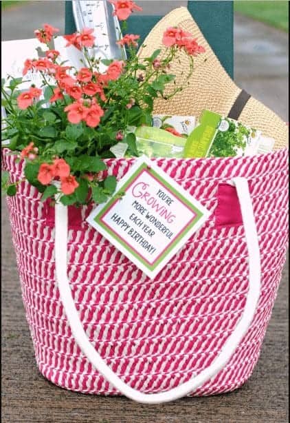 ↓ 10 – Organic & Garden Baskets