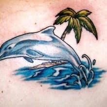 8 – Island Dolphin