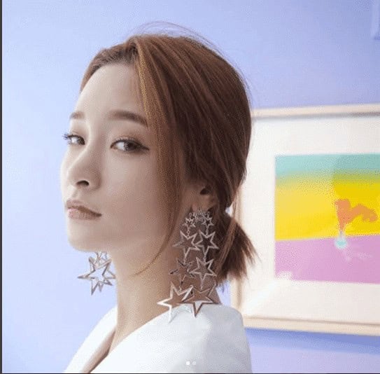 ↓ 19 – Star Earrings