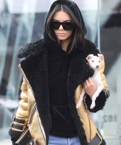 #15 – Kendal Jenner Casual style Look